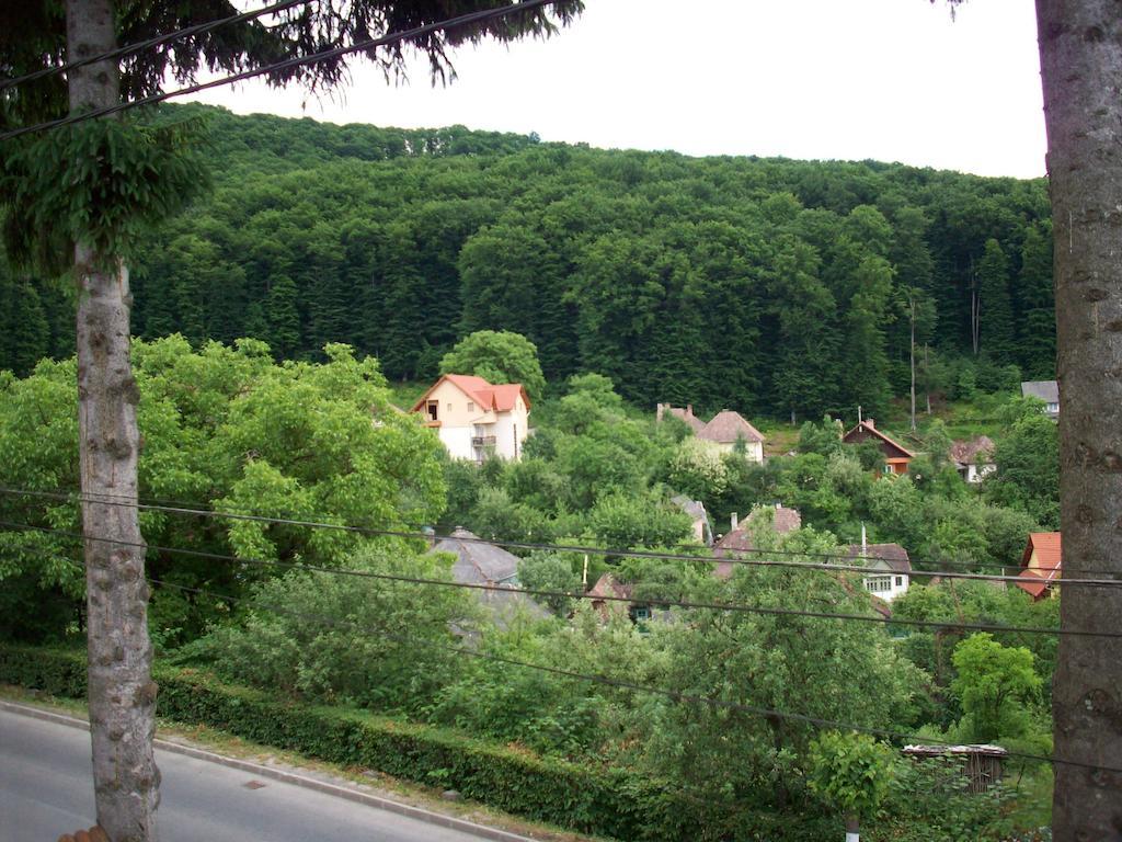 Cabana Bavaria Sovata Extérieur photo